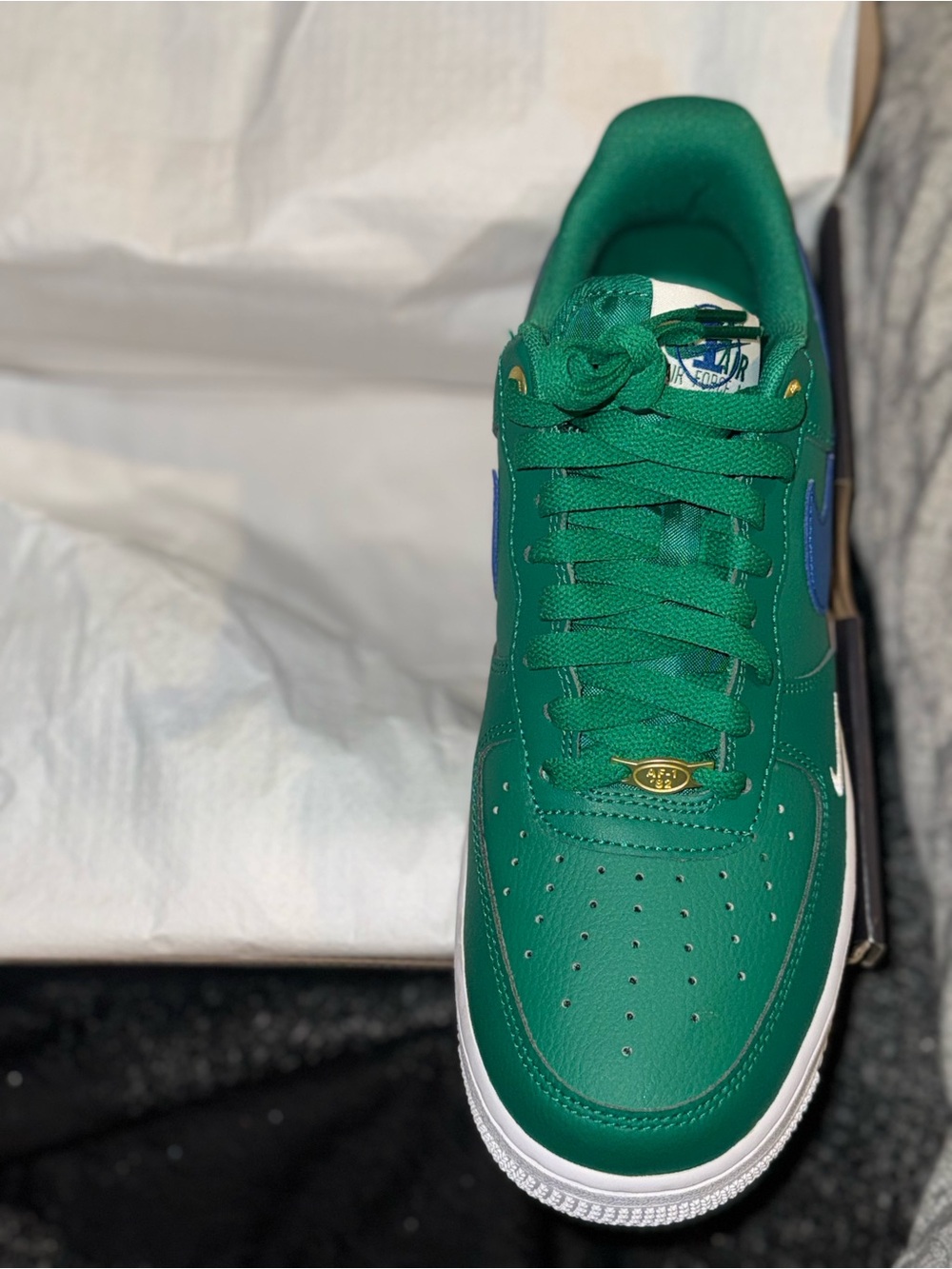 Nike Men's Low-Top Green Leather Sneakers with Blue Swoosh